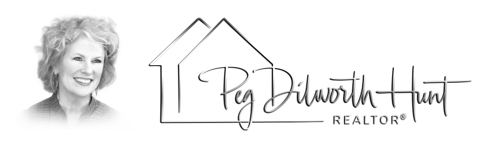 PEG_&_SILVER_font_TRANSPARENT_bg_1000_x_300_3